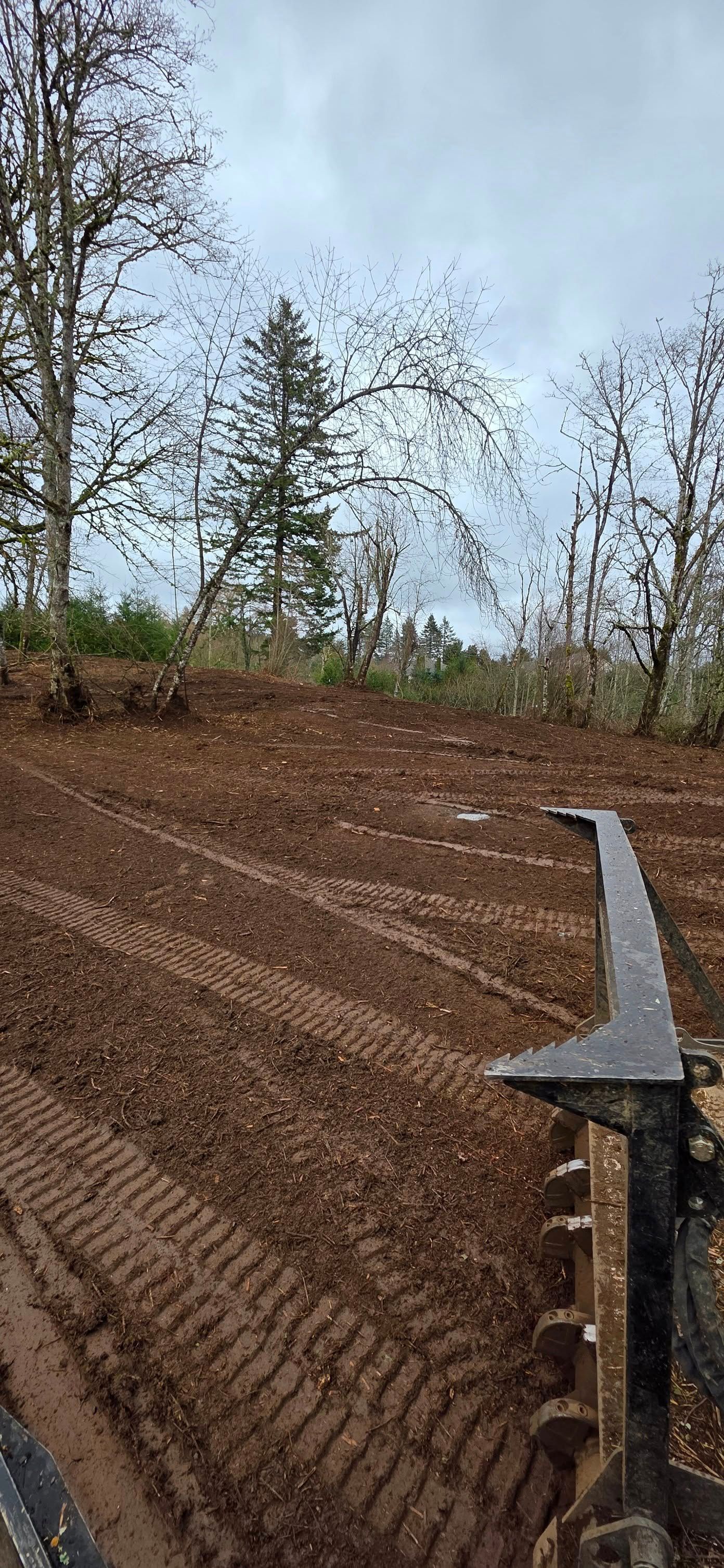 Mud field with tire tracks and a metal farm implement in the foreground, trees under a cloudy sky.