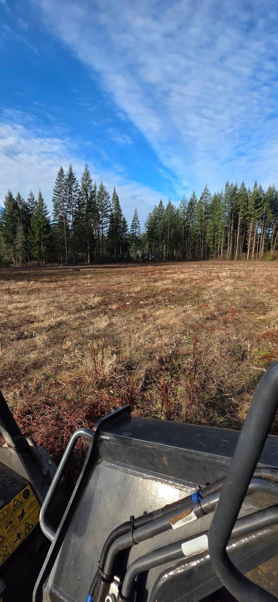 View from a vehicle of a grassy field and pine trees under a blue sky with wispy clouds
