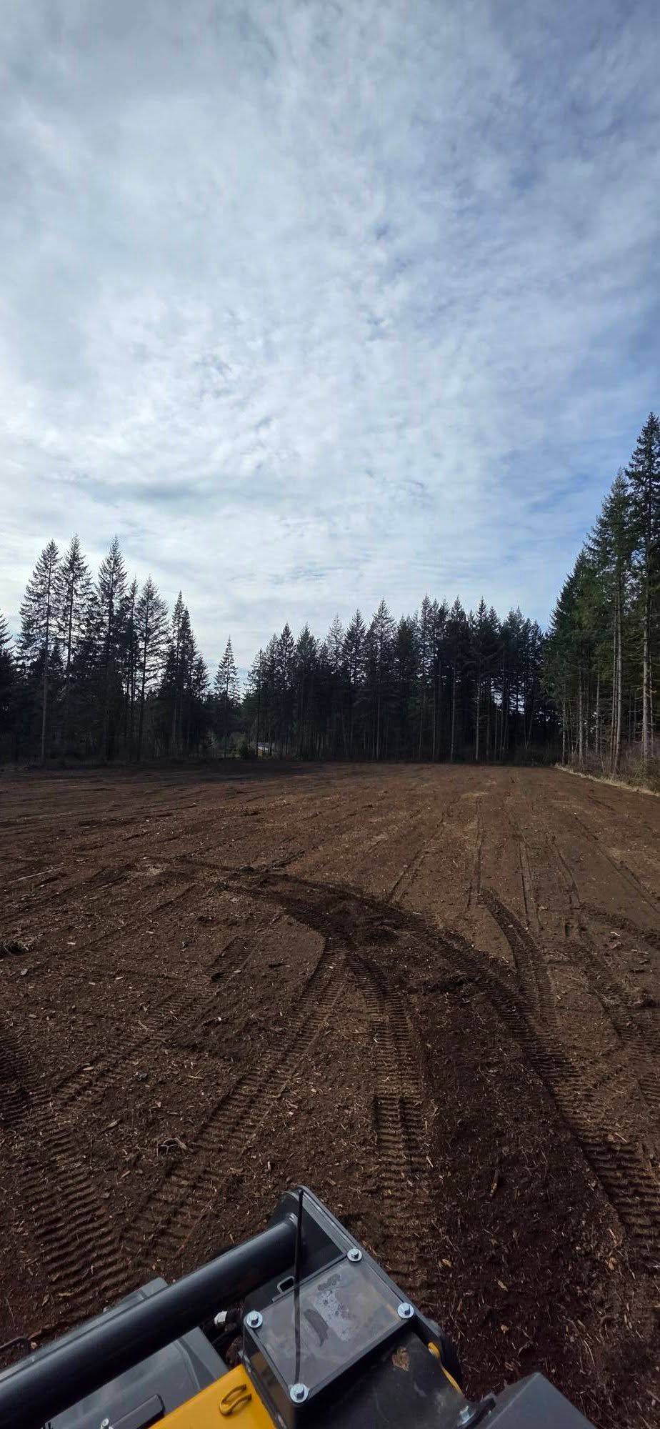 Dirt clearing at the edge of a forest under a cloudy sky, with part of an excavator visible in the foreground
