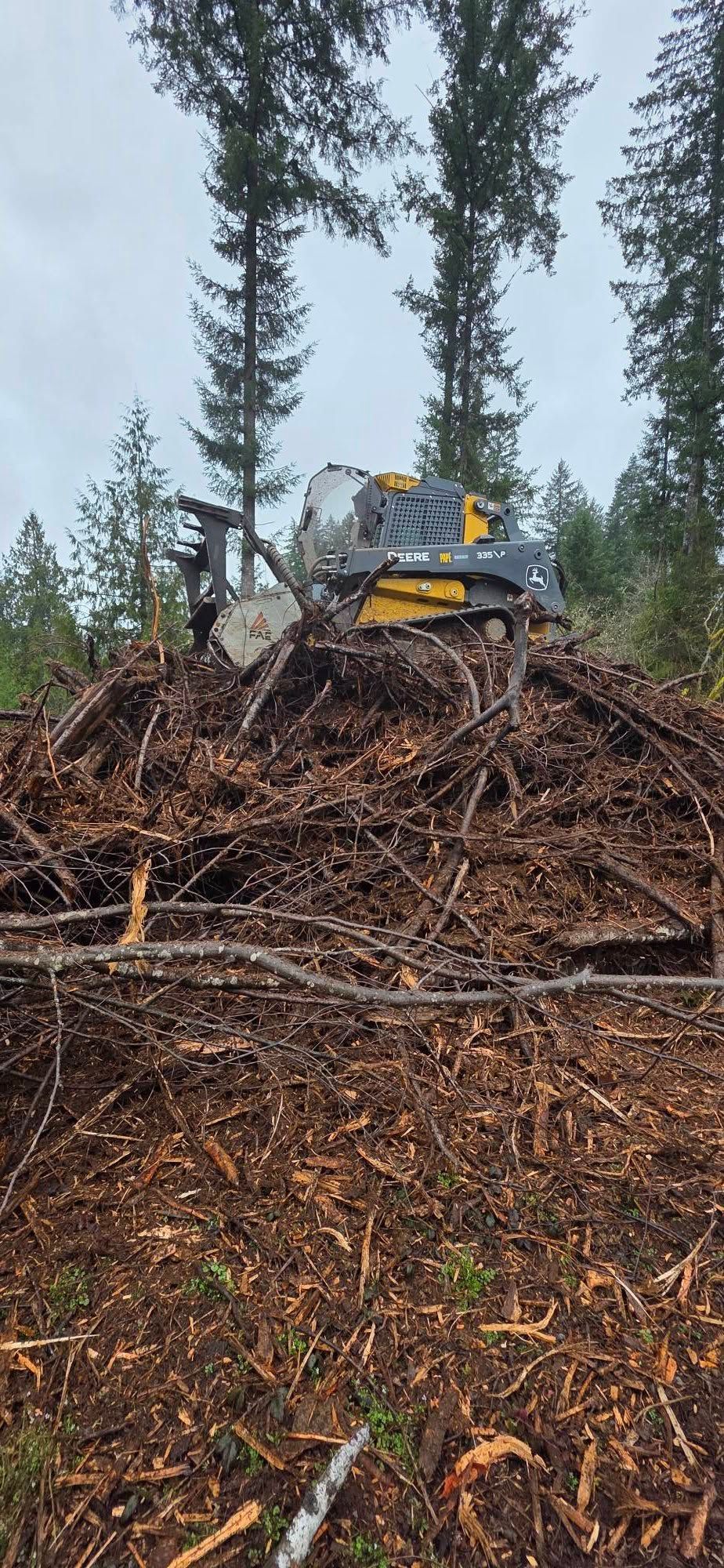 Yellow excavator on a muddy logging pile in a rainy forest clearing