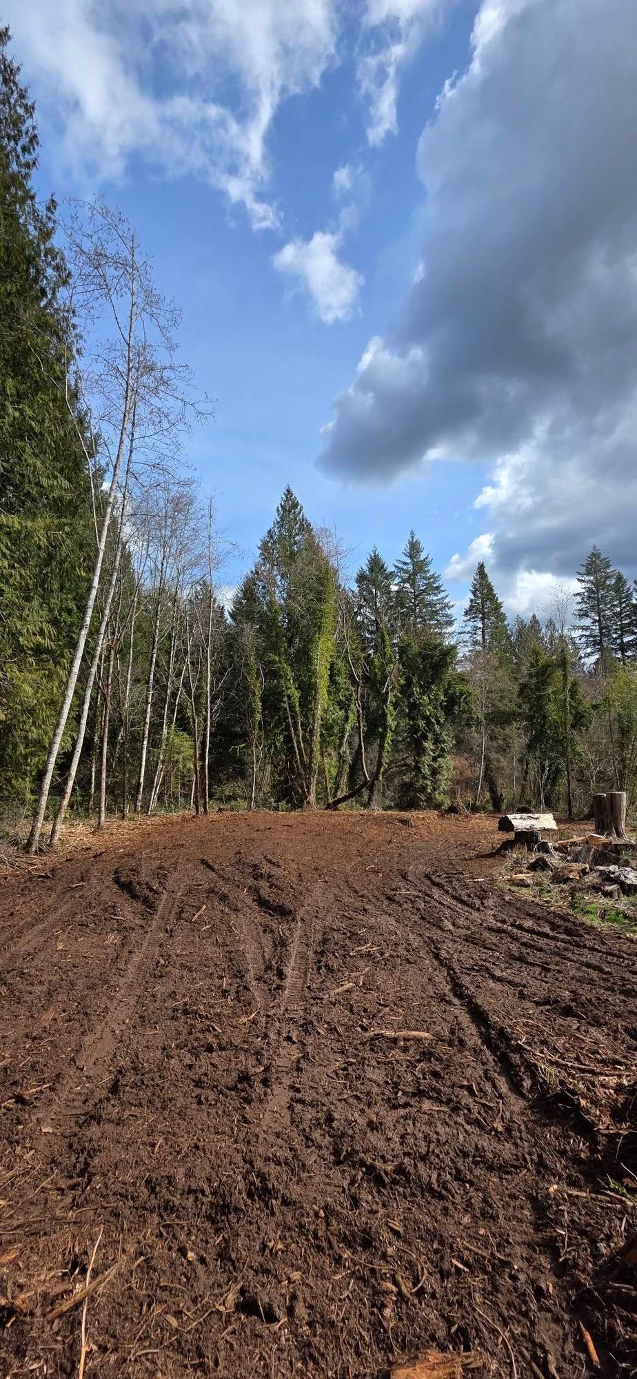 Freshly plowed brown field beside a forest under a cloudy blue sky