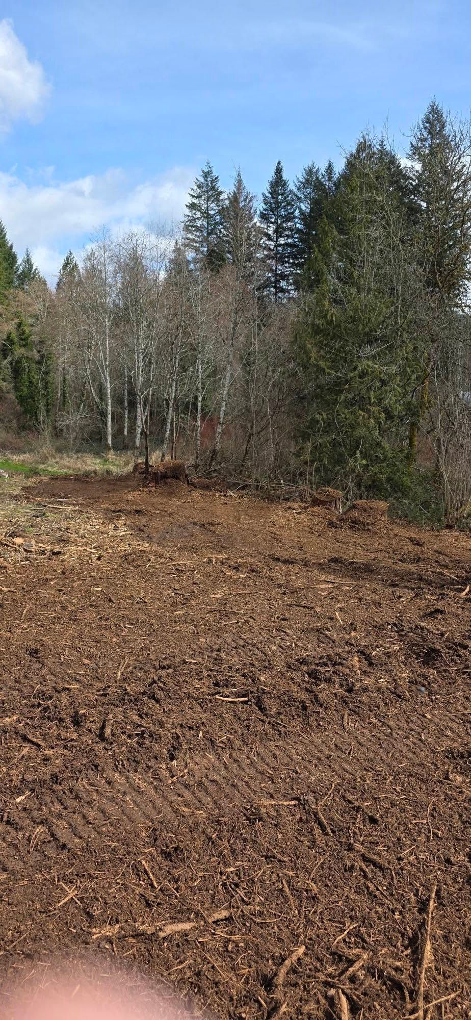 Cleared field with brown soil and a tree line under a blue sky