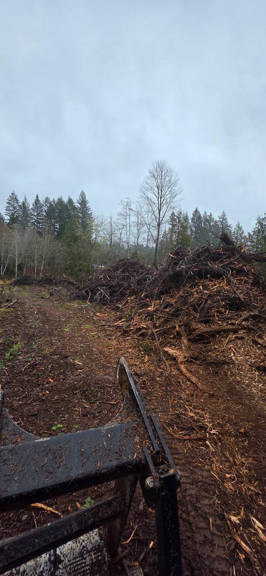 Forested hillside with cut logs and dark machinery in the foreground under a cloudy sky
