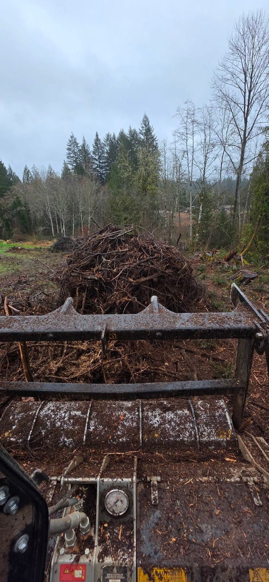Rusty tractor cab overlooking a muddy field with a brush pile, trees, and cloudy sky