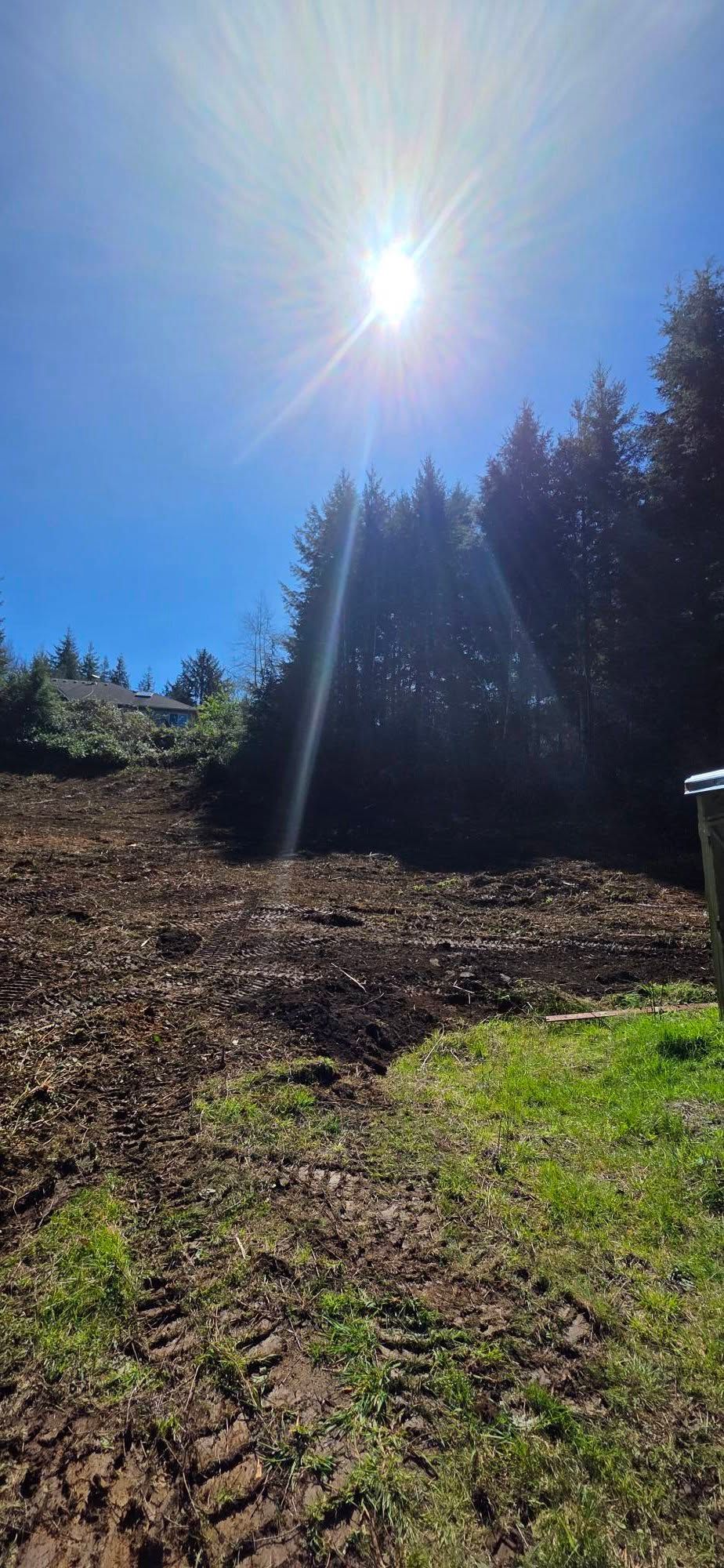 Sunny wooded clearing with bright sunbeams over trees and a dirt path in the foreground