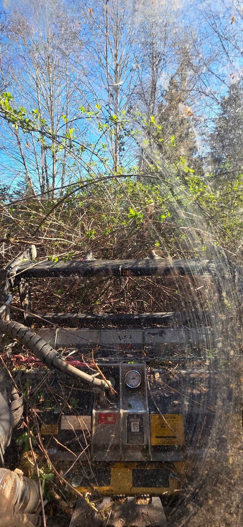 Old rusted vehicle partly hidden by vines and branches under a blue sky.