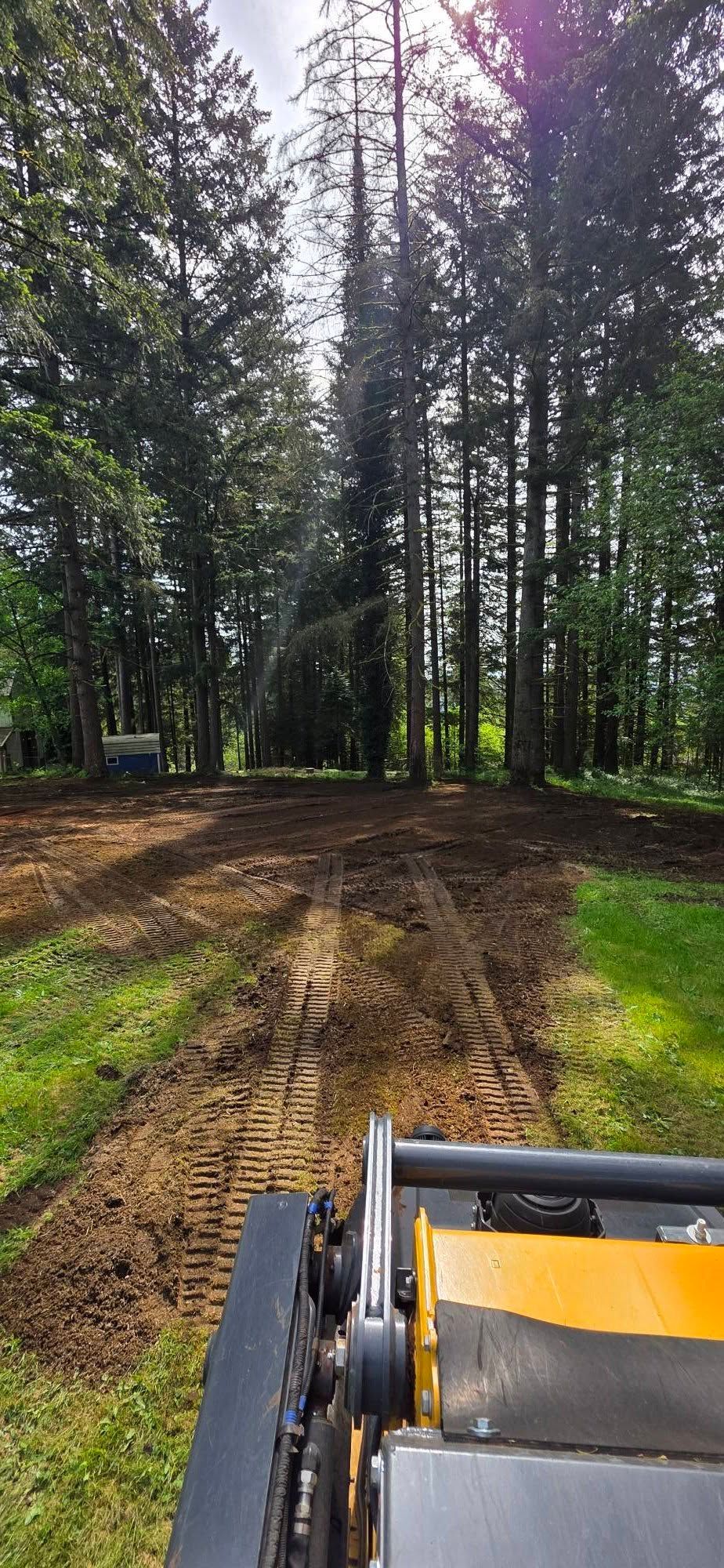 Front loader in a wooded clearing, facing tall trees and a muddy dirt path.