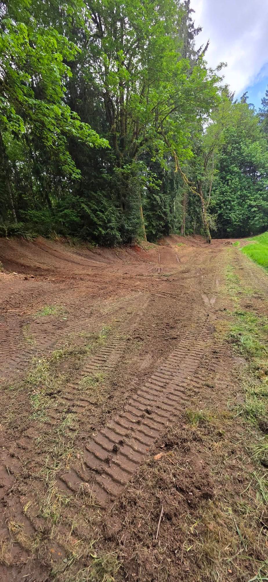 Dirt path with tire tracks beside dense green trees and grass under a partly cloudy sky