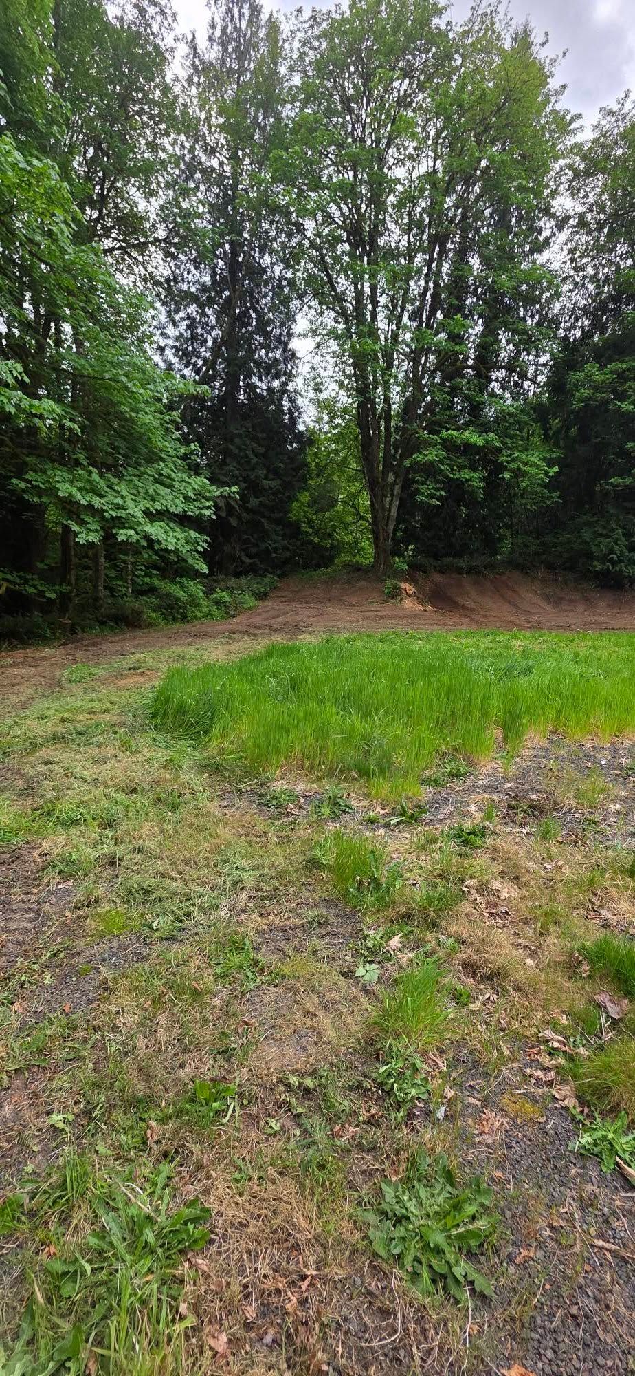 Grassy clearing with muddy ground and dense green trees along the edge under an overcast sky