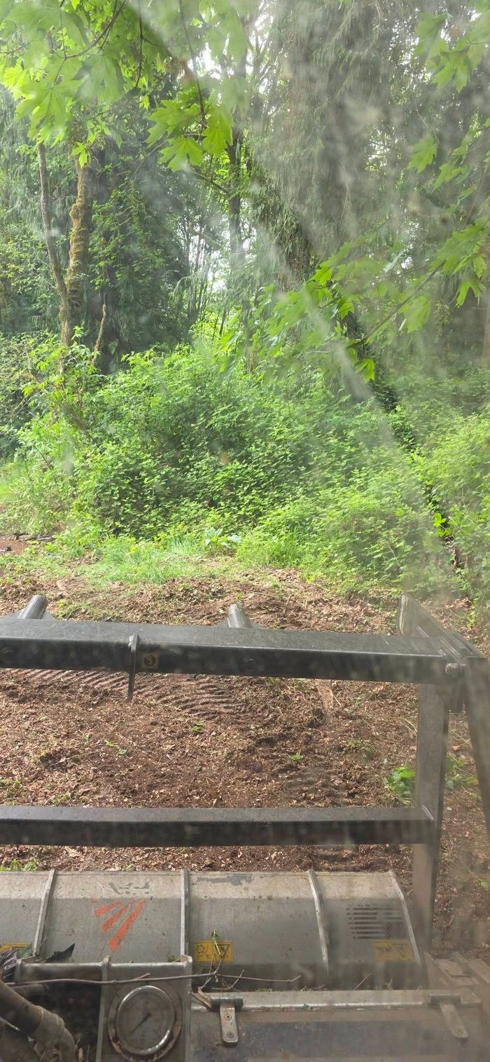 Rusty metal bench overlooking a dense green wooded area and muddy ground.