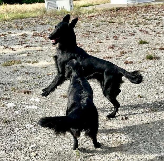 Ajari & Bo lernen sich kennen