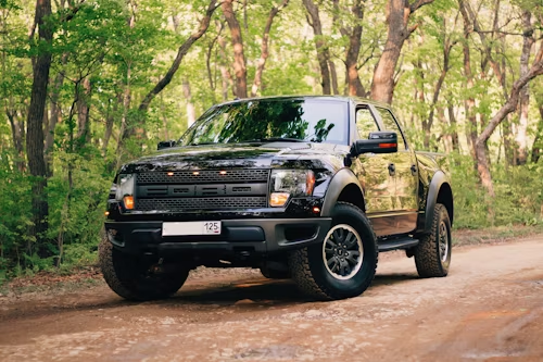 A black Ford Raptor pickup truck parked on a dirt path in a sunlit forest.