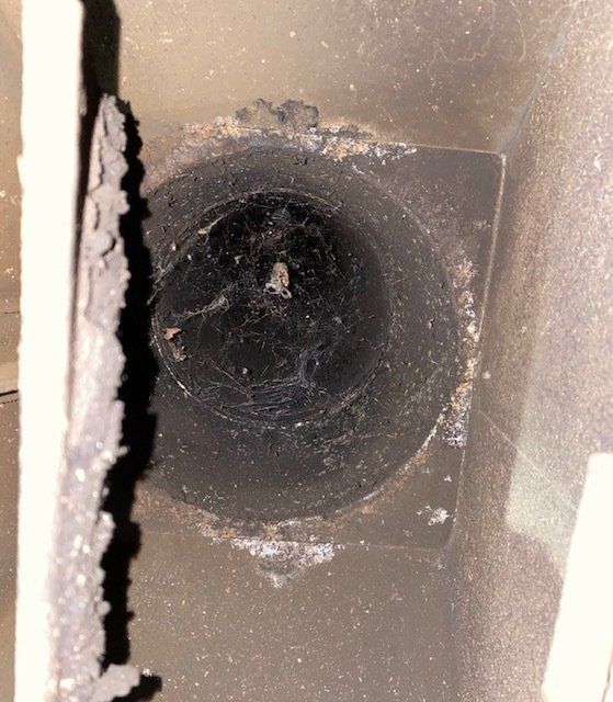 Chimney Cleanings