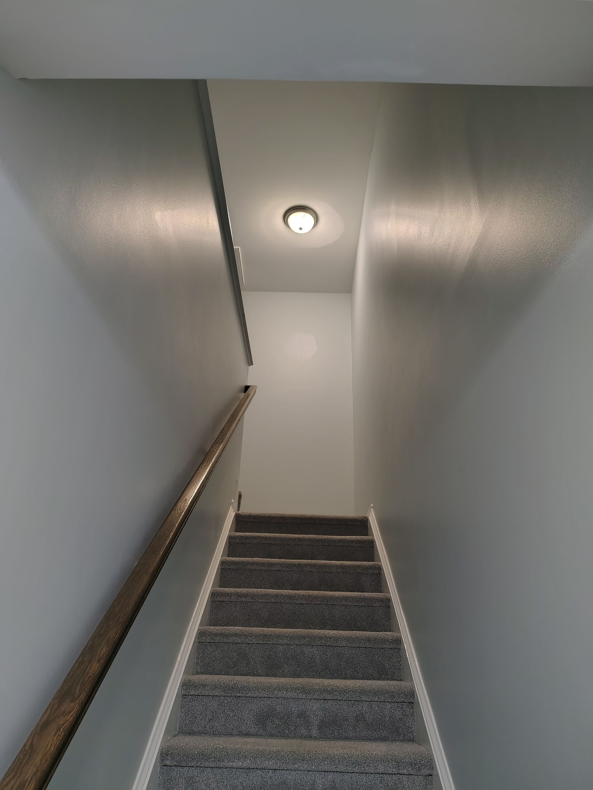 Narrow stairwell with gray carpeted stairs, white walls, wooden handrail, and ceiling light.