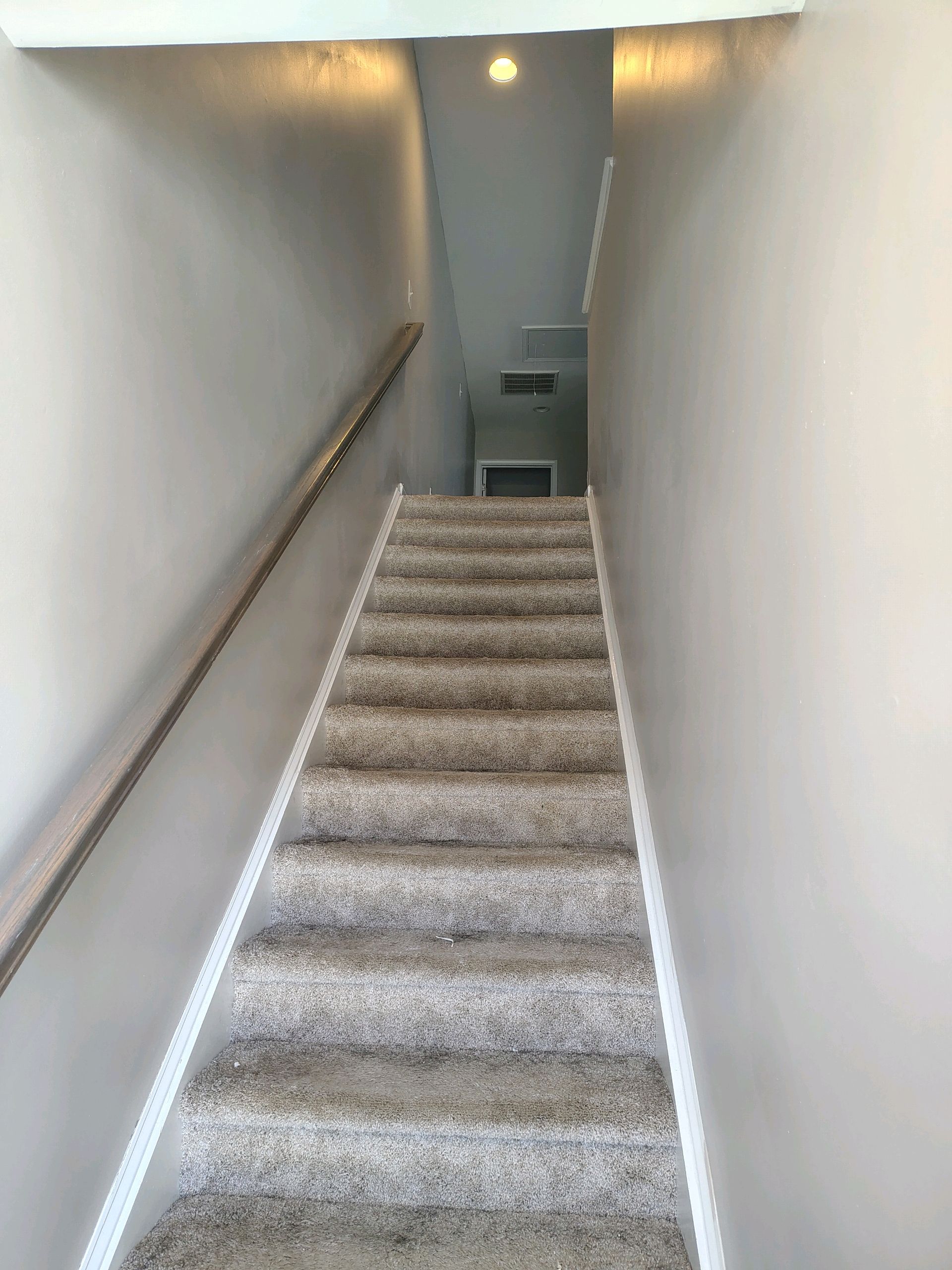 Carpeted staircase in a narrow hallway with white walls and a handrail on the left
