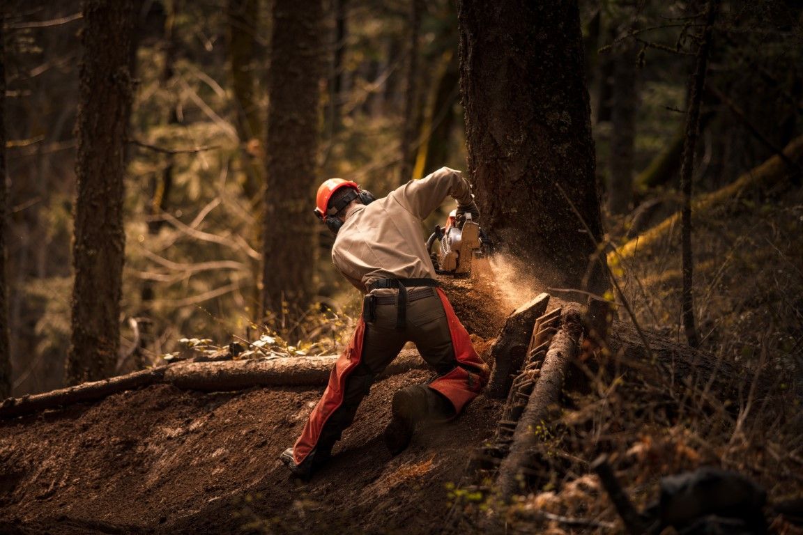 An image of Tree Service in Camas, WA