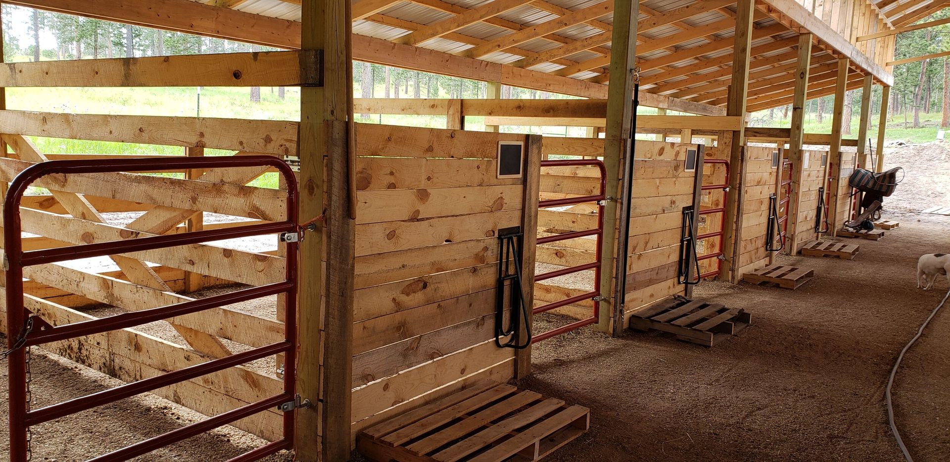 Photos & Video Gallery | Bridle Ridge Horse & RV Camp