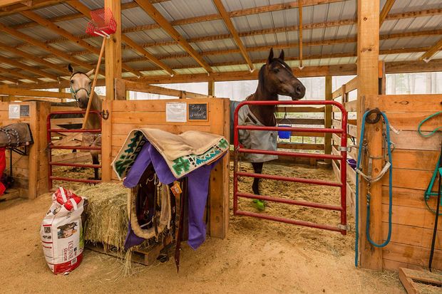 a horse is standing in a stable behind a fence .