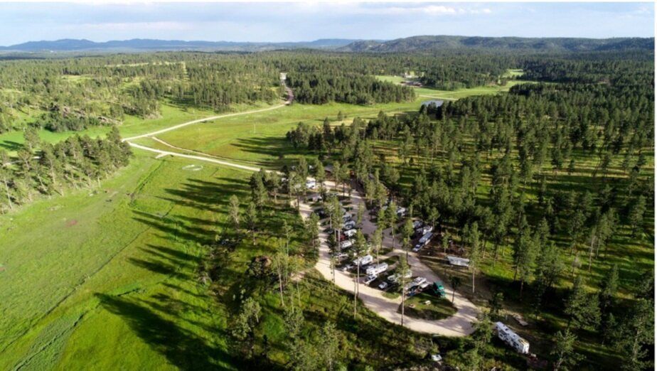 an aerial view of a lush green forest with a road going through it .