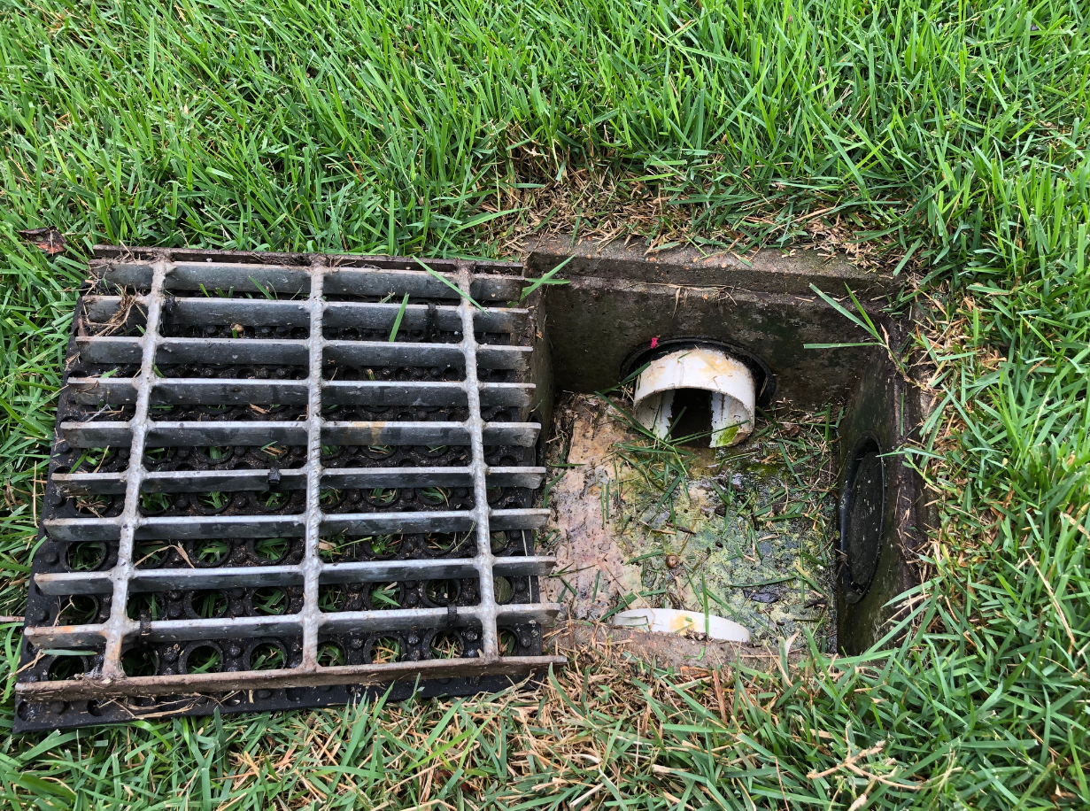 a metal grate is sitting in the grass next to a drain