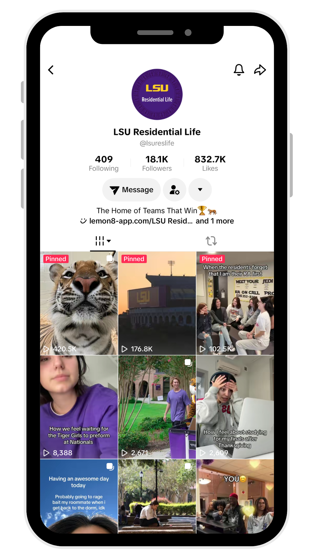 TikTok profile page with purple logo, follower stats, and a grid of cat and outdoor photos