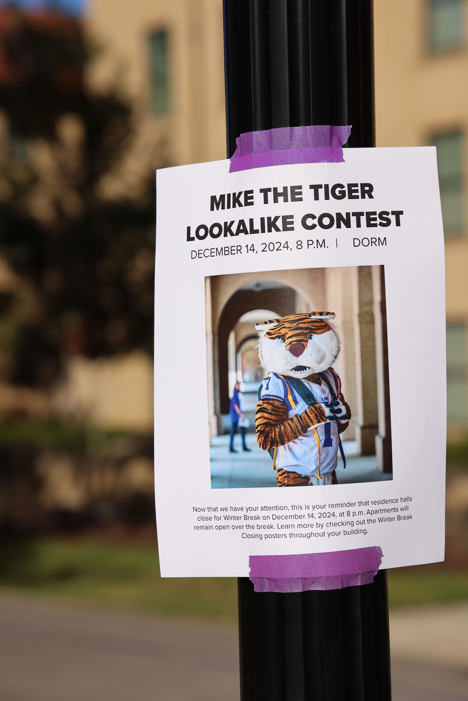 Flyer taped to a pole advertising a “Mike the Tiger lookalike contest” with a tiger photo.