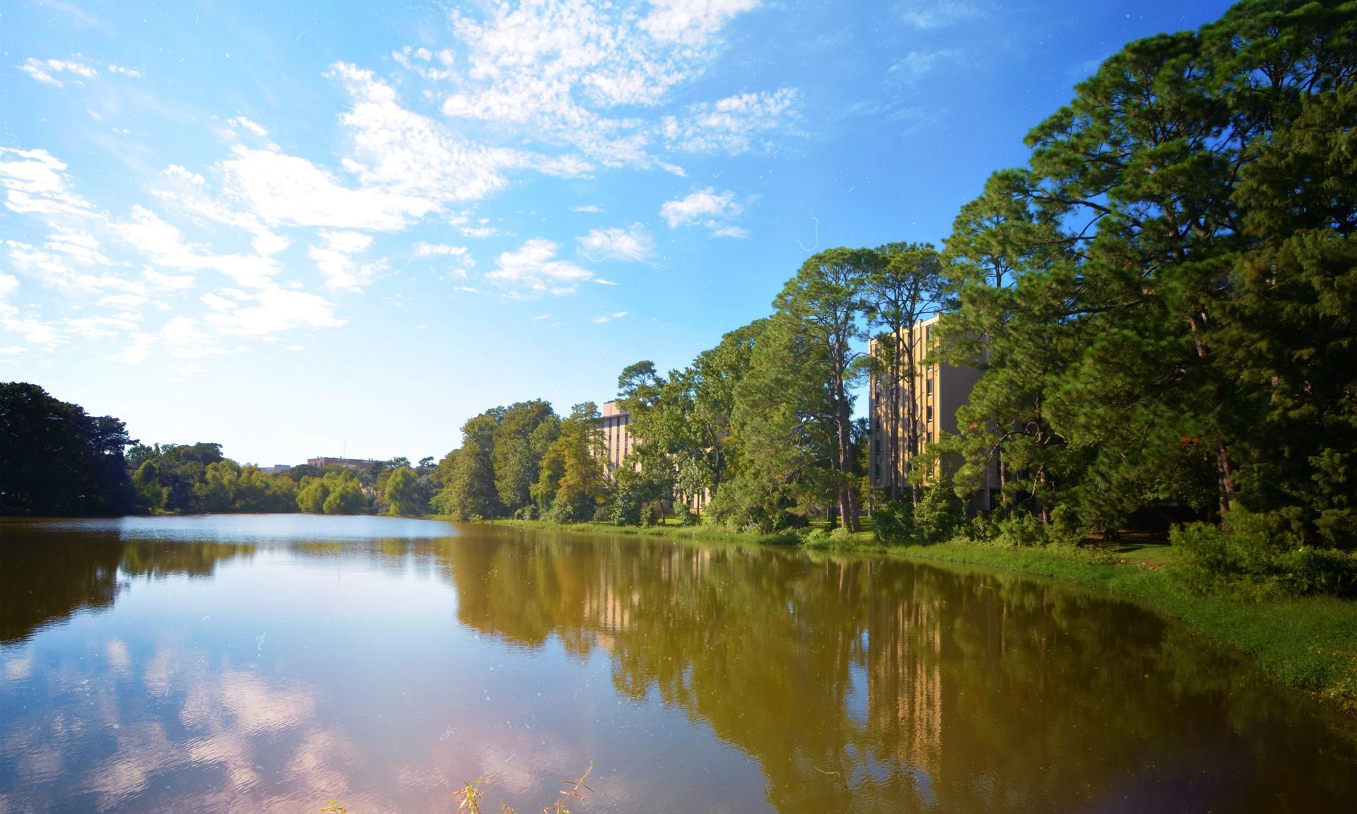 Calm river reflecting blue sky and trees along a lush green shoreline