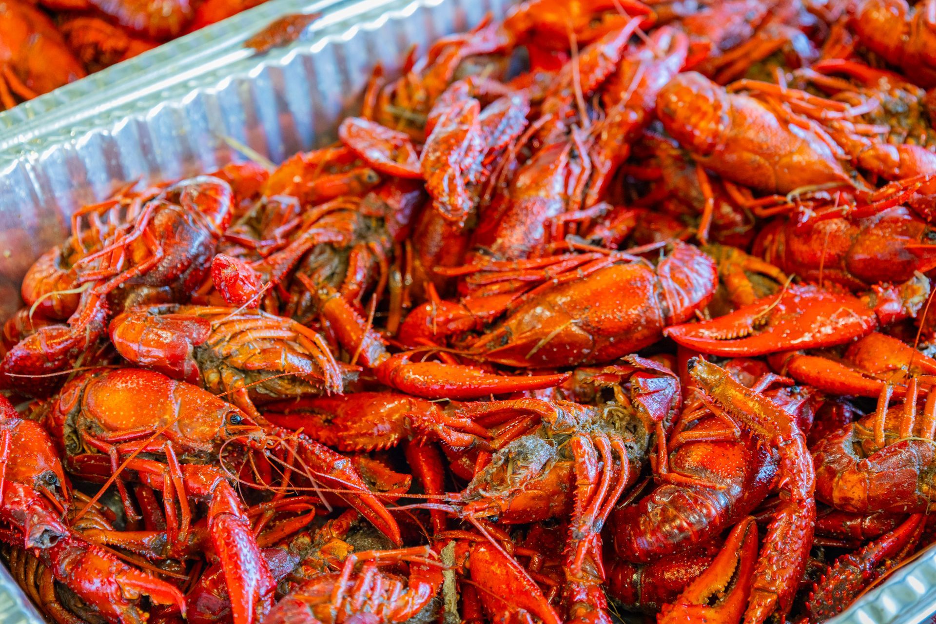 Tray of bright red crawfish piled together