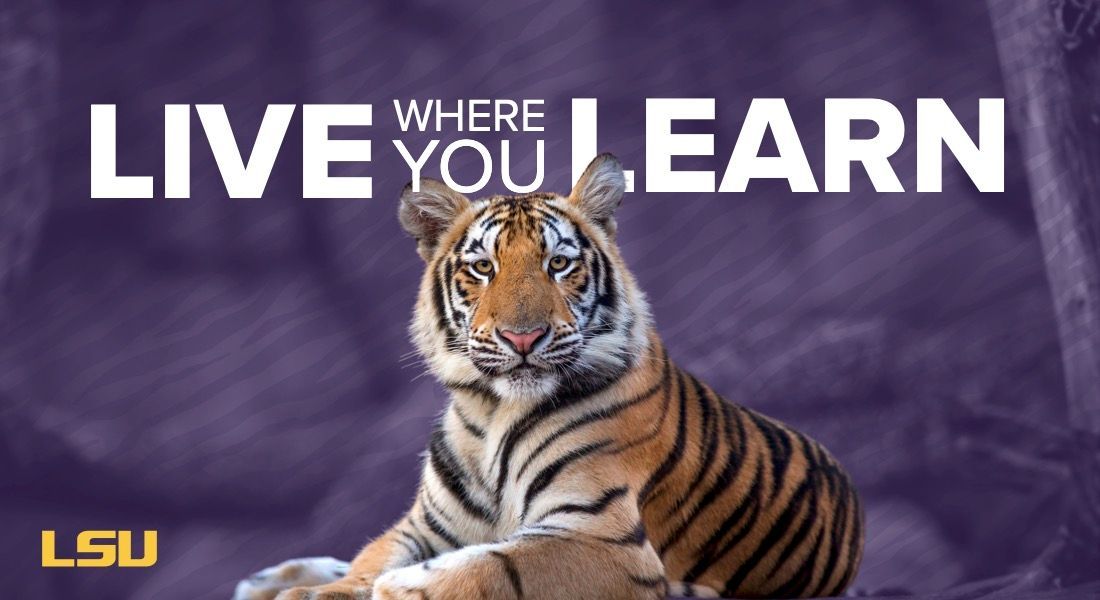 LSU tiger mascot on a purple background with “LIVE WHERE YOU LEARN” text