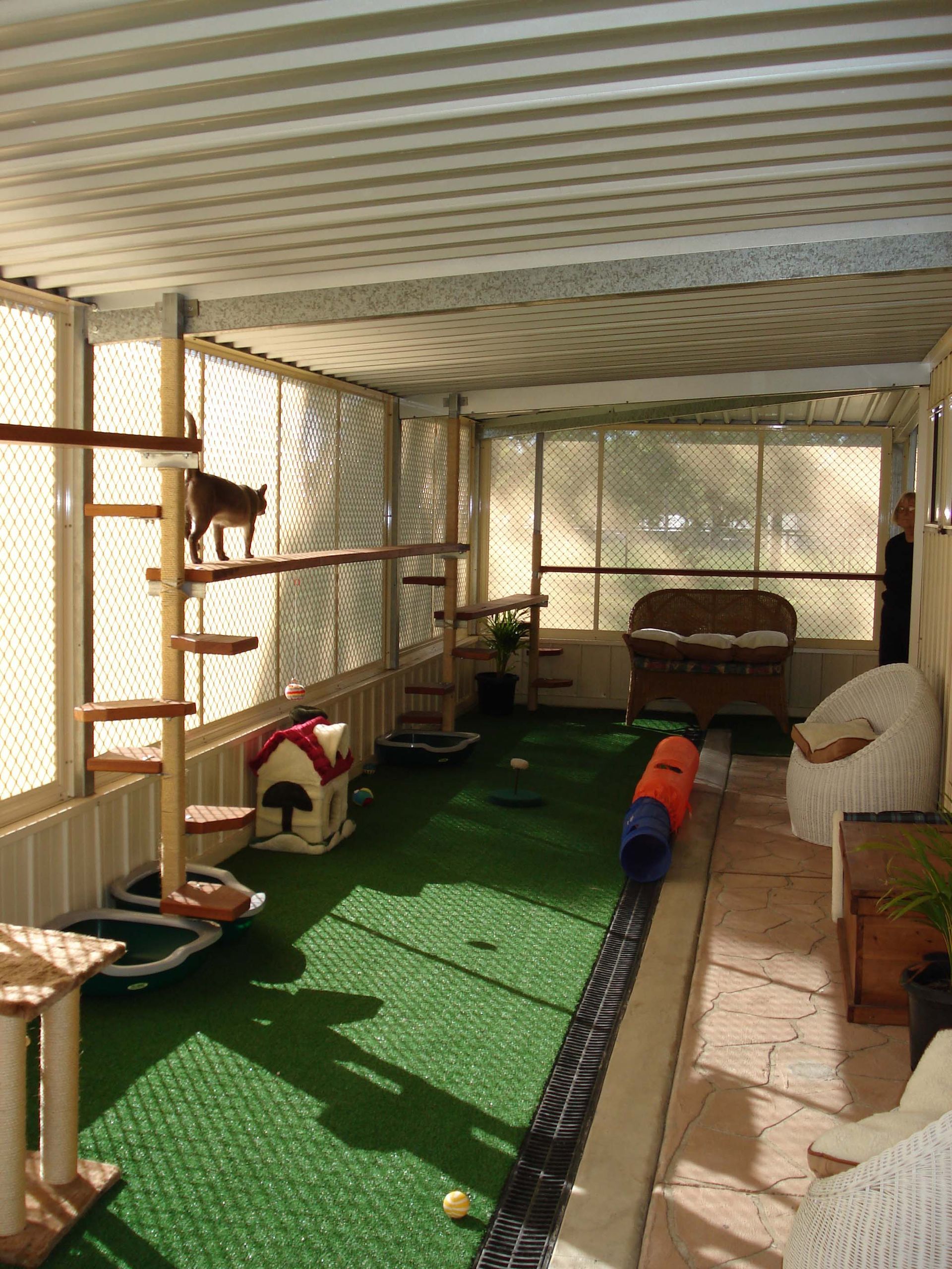 Safe and Relaxing — Llandilo, NSW — Abbeyvale Boarding Cattery