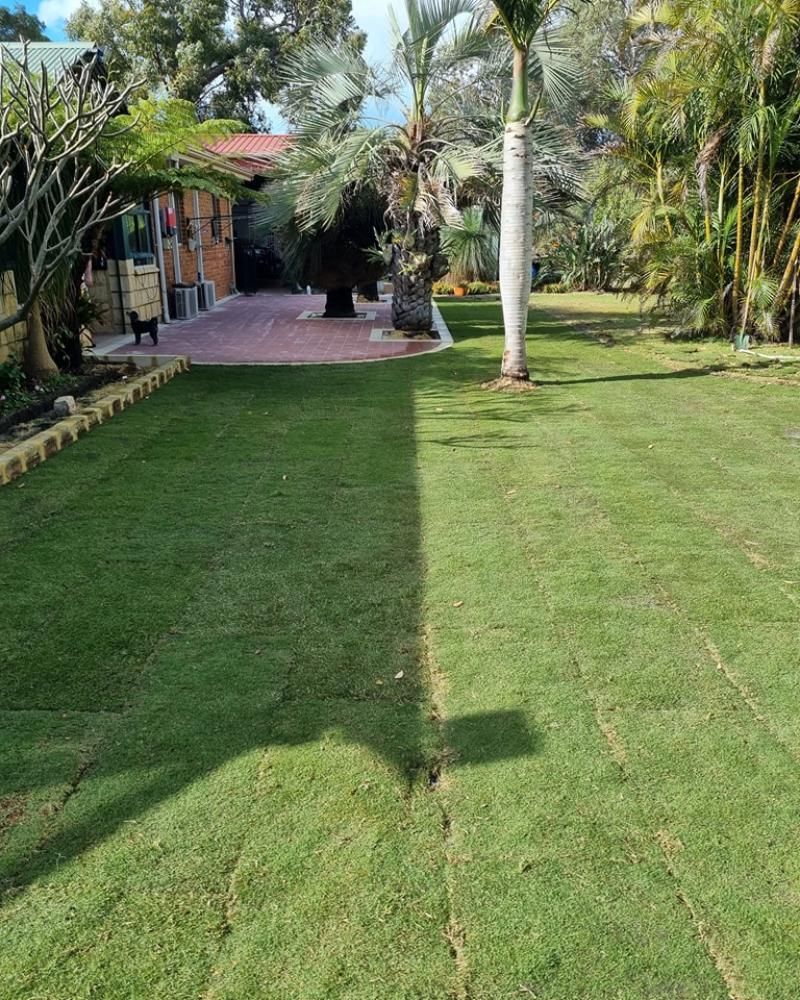 green lawn