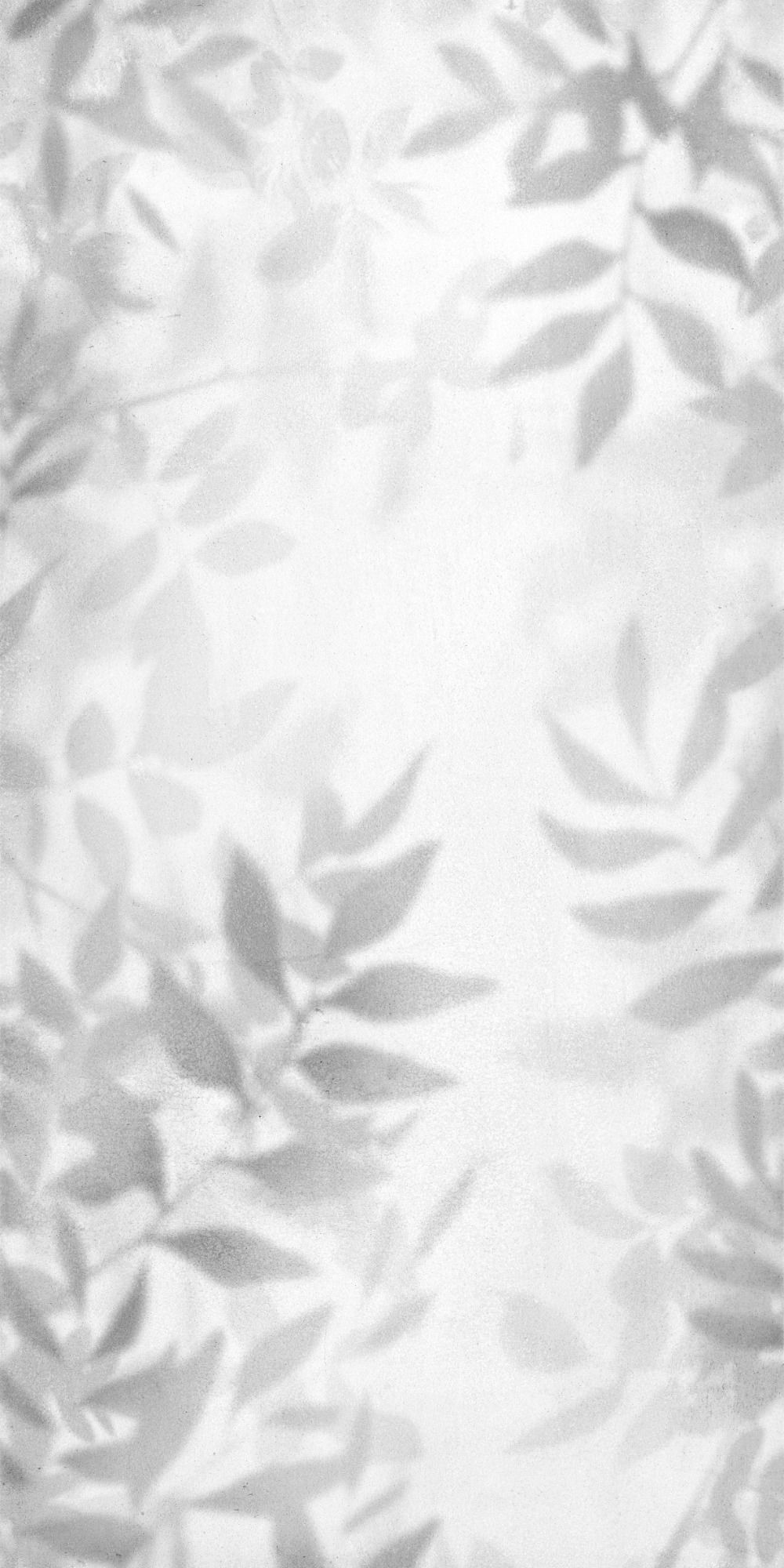 TTF178-SHADOW