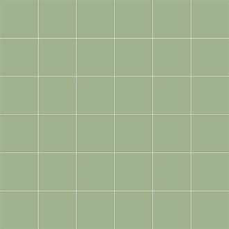 189/SOAP GREEN 50