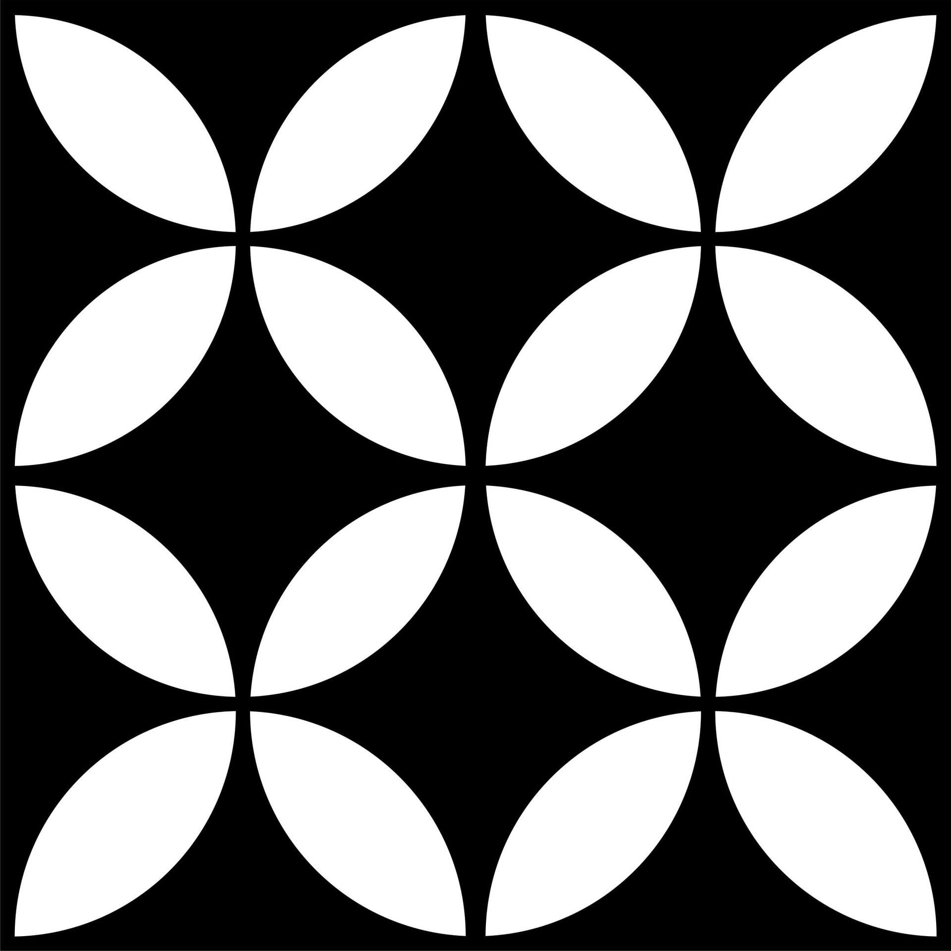 TTF95-STAR BLACK