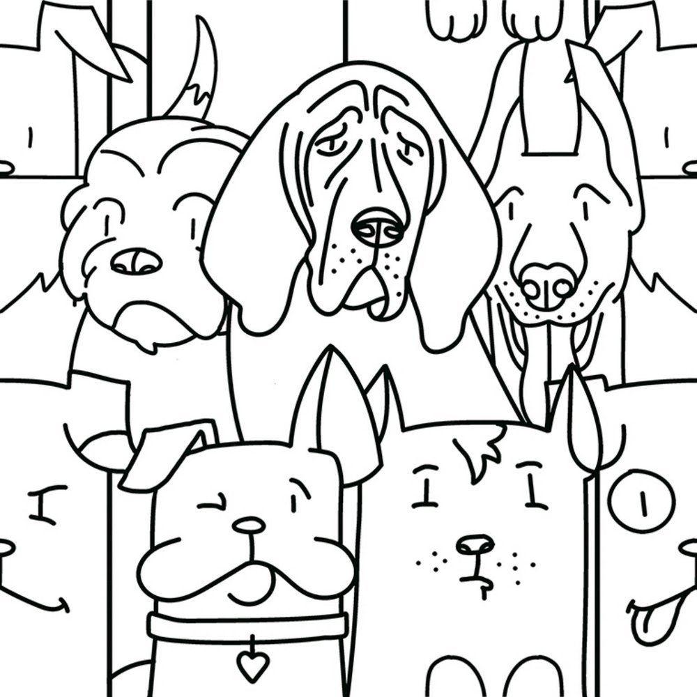 31TTF-DOGSQUAD