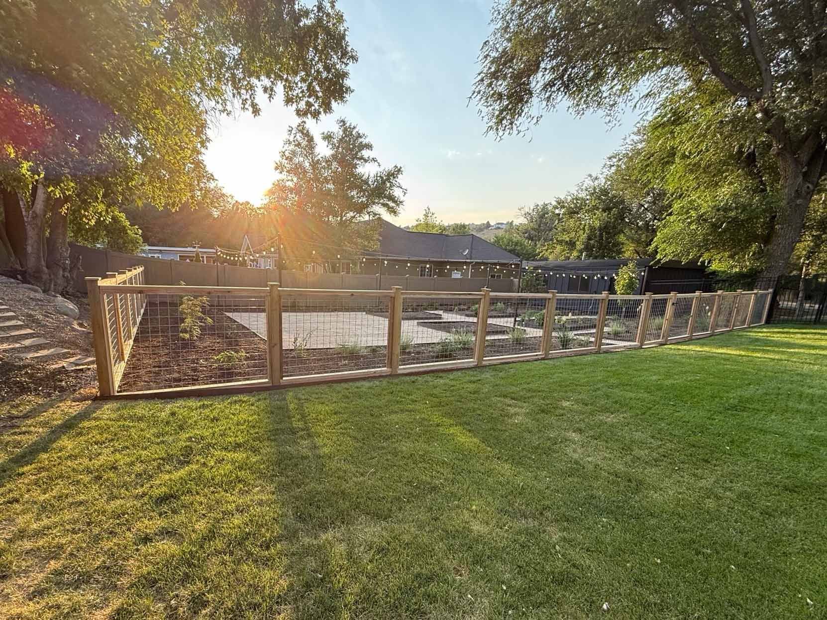 Sunny backyard with green lawn, wooden fence, and trees casting long shadows.