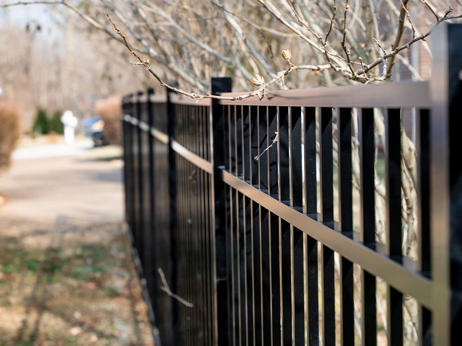 Black metal fence along a blurred tree-lined path in winter