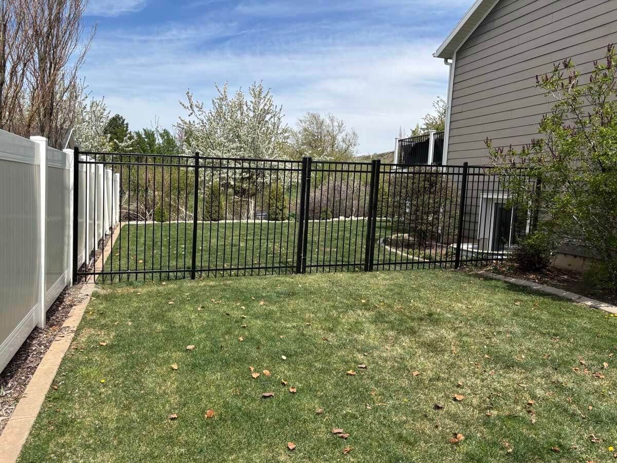 Backyard lawn with a black metal gate, white fence, and house on the right.