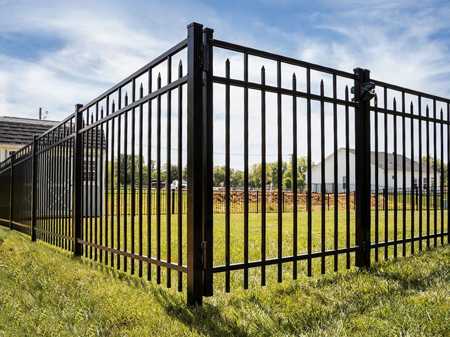 Black metal fence enclosing a grassy yard under a partly cloudy sky