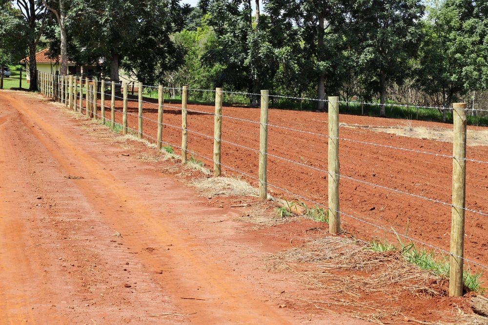 Three-strand electric fence with wooden posts and wire mesh on a white background