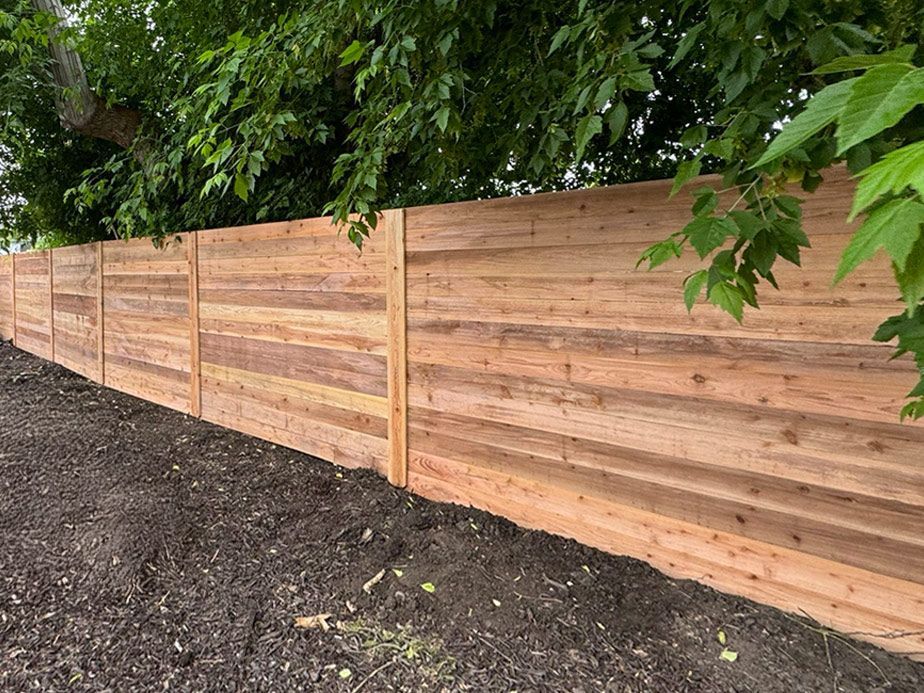 Wooden privacy fence along a dirt path beneath leafy green trees