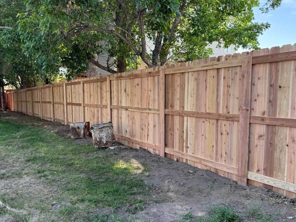 Wooden privacy fence along a grassy yard with trees overhead