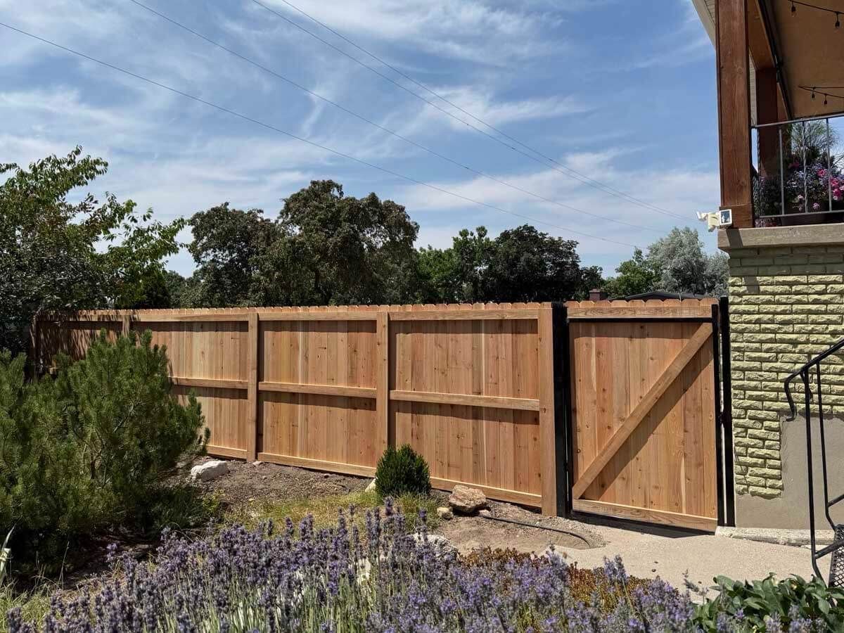 Wooden privacy fence and gate beside a house, with shrubs and blue sky overhead.