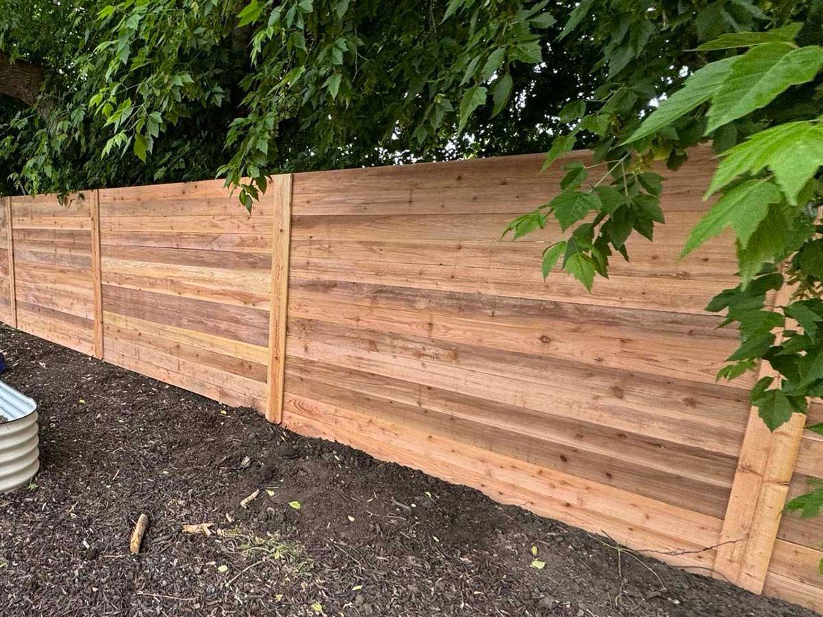 Wooden privacy fence along a garden with green foliage overhead and mulch in the foreground