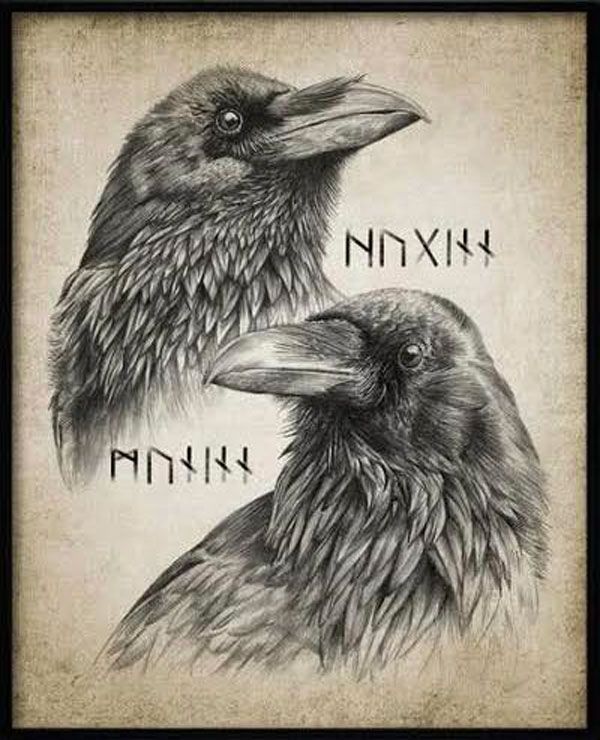 Huginn & Muninn