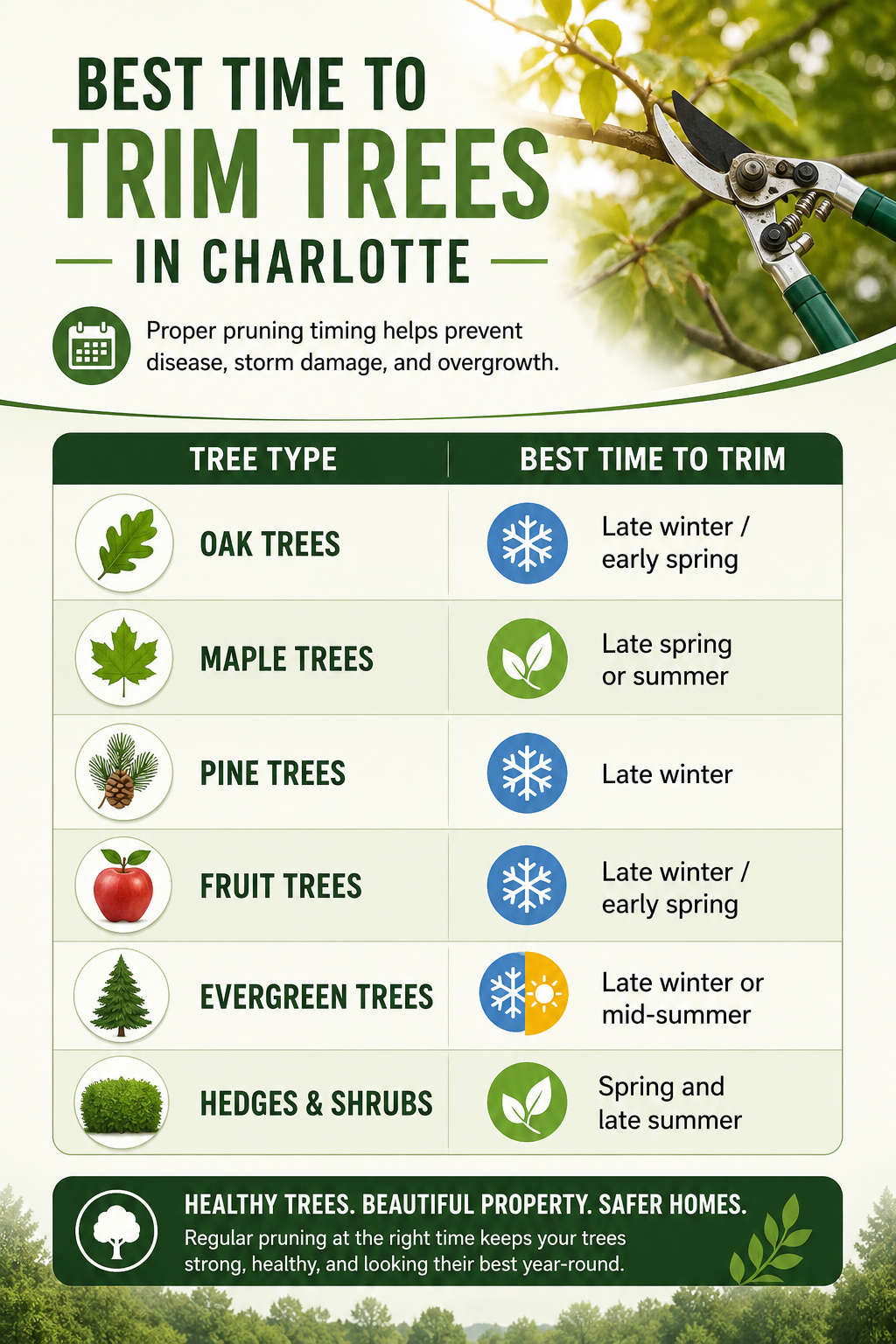 Seasonal tree trimming infographic for Charlotte NC showing best pruning times by tree type