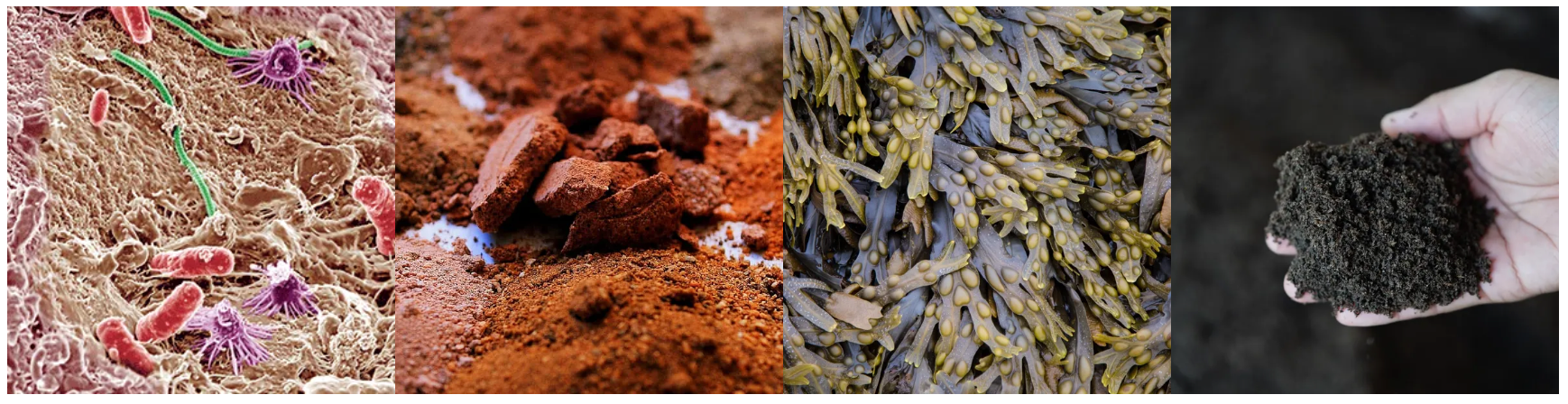 different minerals 