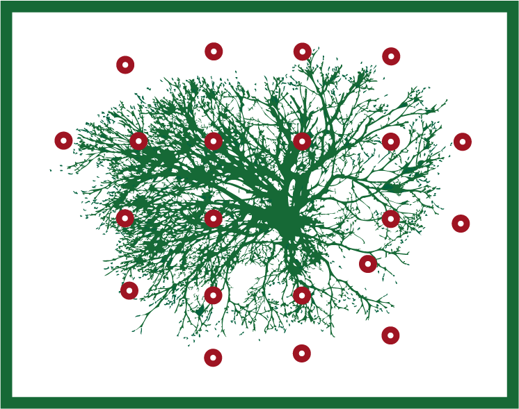 A picture of a tree showing where to place fertilizer 