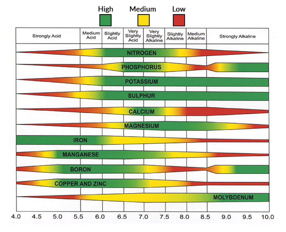 A graph showing the levels pH to best apply specific lawn nutrients