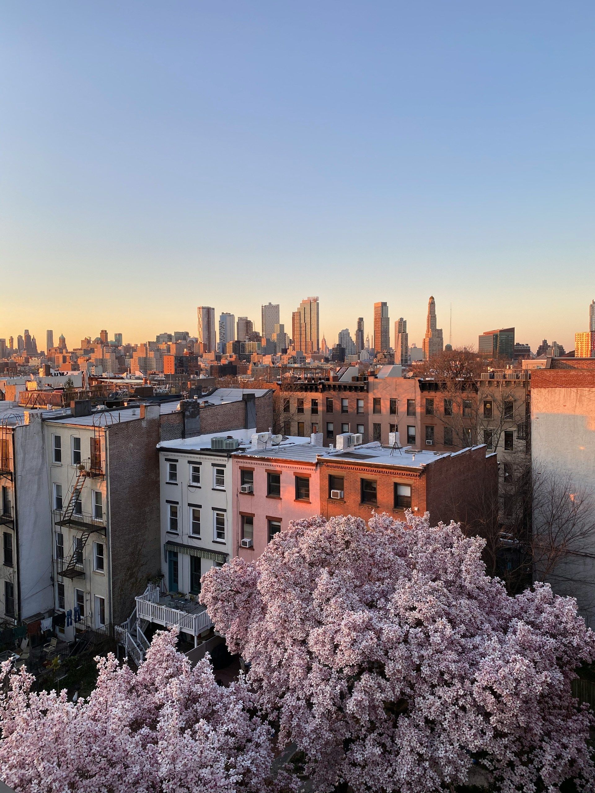 Sunset skyline over city rooftops with blooming pink trees in the foreground